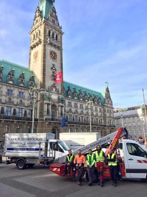 Baumpflege in Hamburg